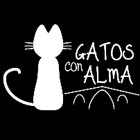 Gatos Con Alma